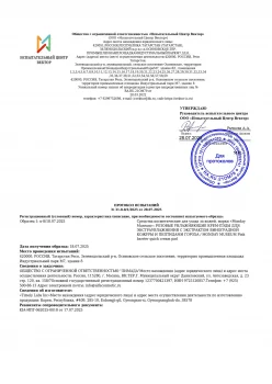 ПИ_Розовые ПЭДЫ от 28.07.2025